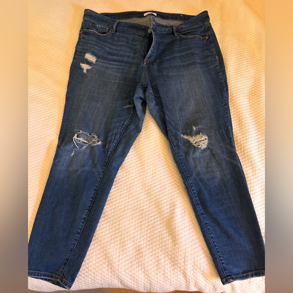 Loft Plus modern skinny jeans, 22, distressed